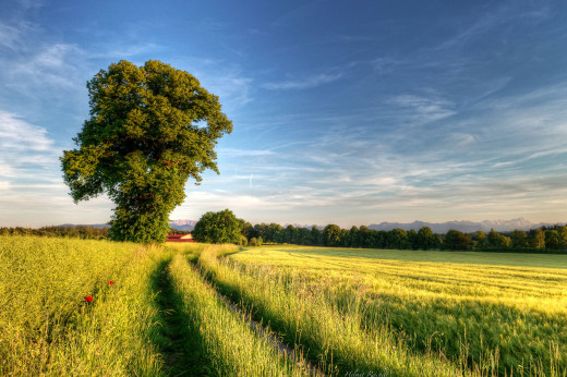 518079 (a): :2560x1700